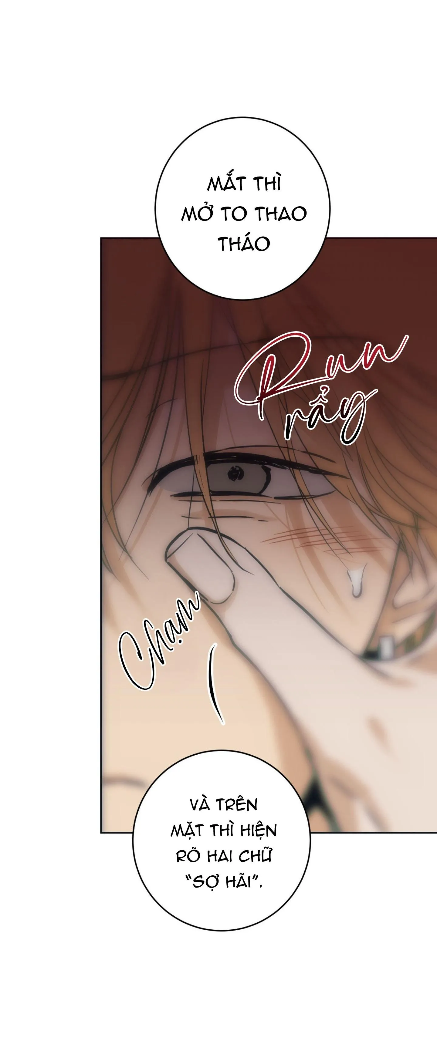 FULL BOOK Chapter 5 Trang 10