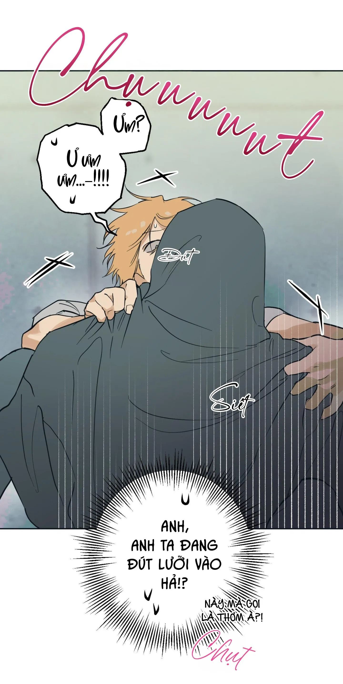 FULL BOOK Chapter 5 Trang 29