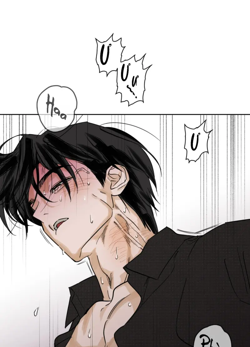 FULL BOOK Chapter 13 Trang 11