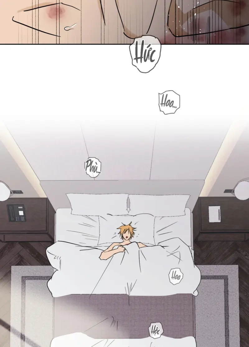 FULL BOOK Chapter 13 Trang 19