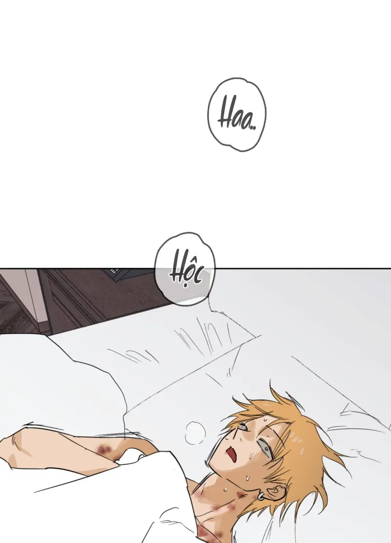 FULL BOOK Chapter 13 Trang 25