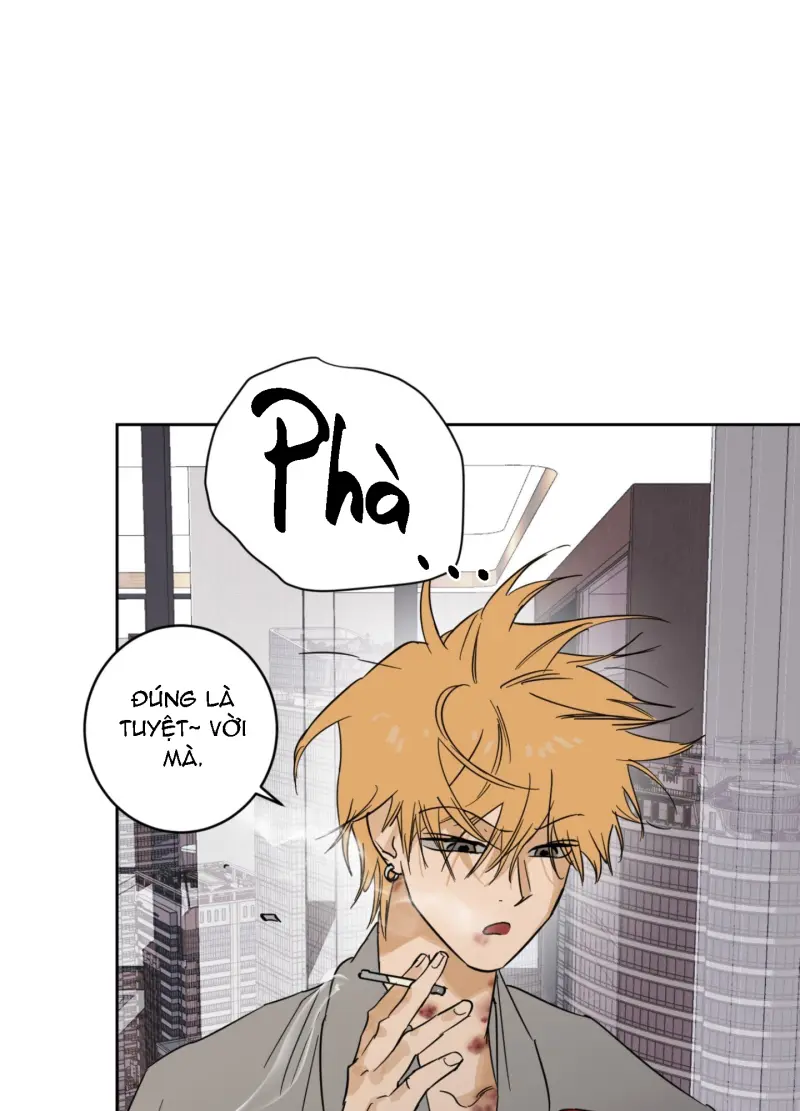 FULL BOOK Chapter 13 Trang 42