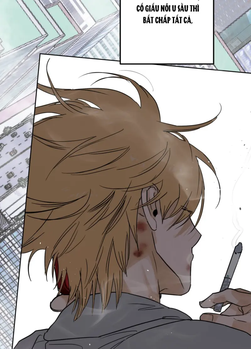 FULL BOOK Chapter 13 Trang 79