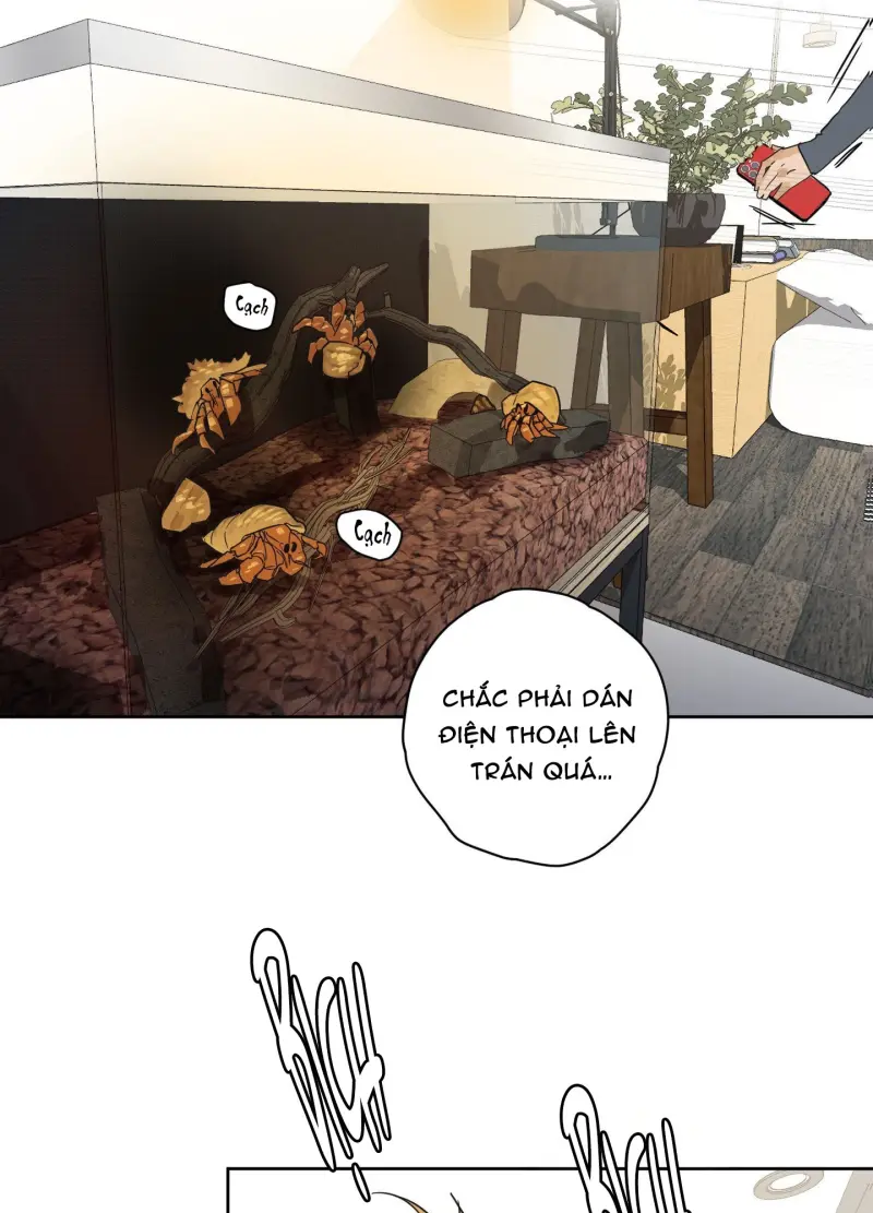 FULL BOOK Chapter 14 Trang 3