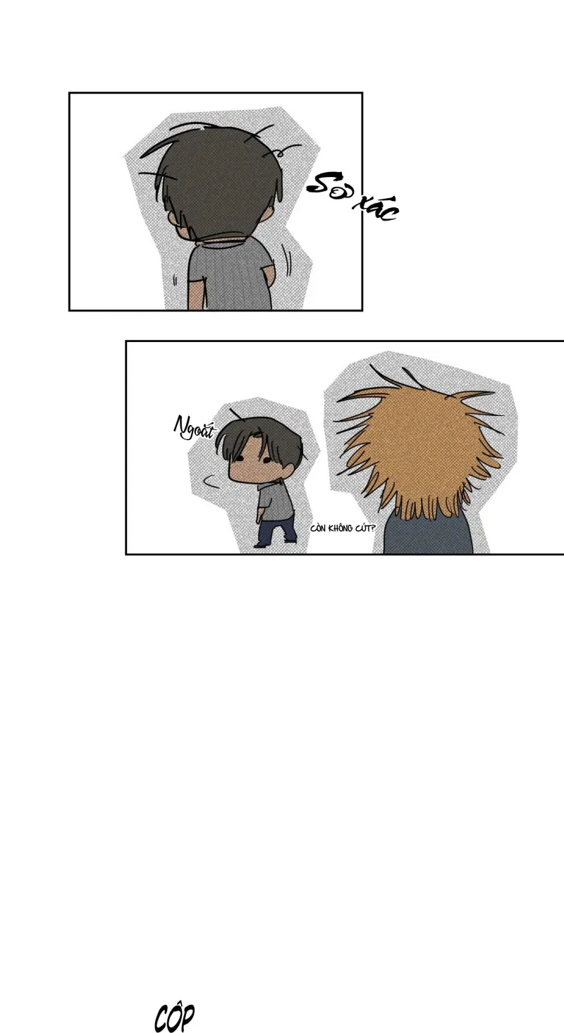 FULL BOOK Chapter 15 Trang 47