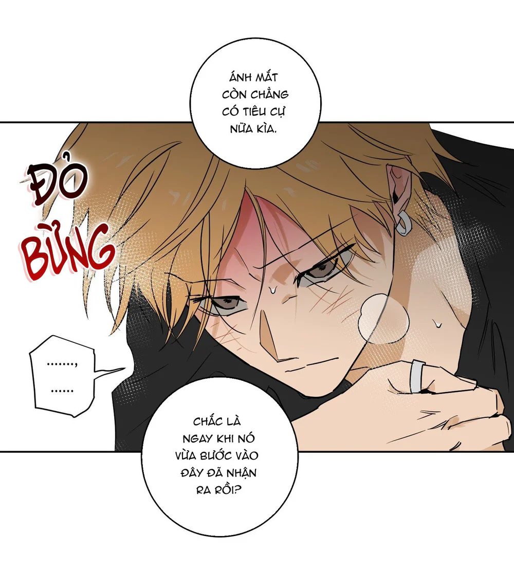 FULL BOOK Chapter 23 Trang 49