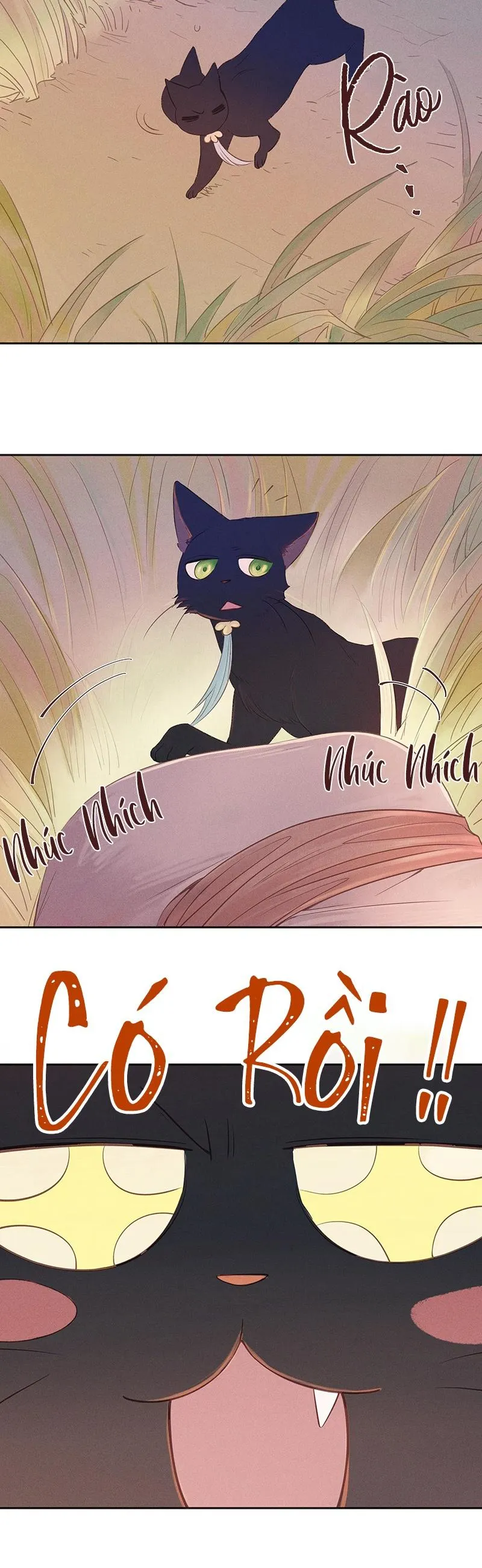 Gả Ma Chapter 8 Trang 8