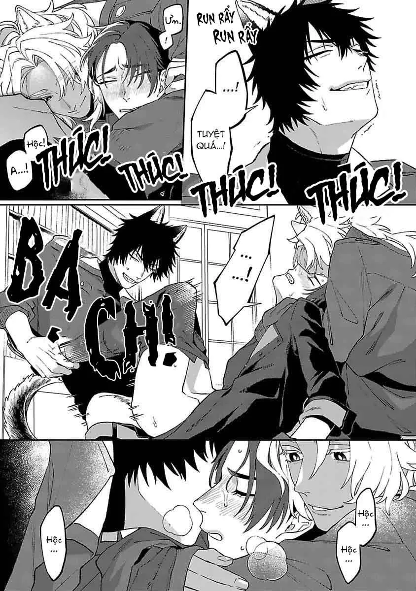 Gấp đôi rắc rối Chapter 4 Trang 12