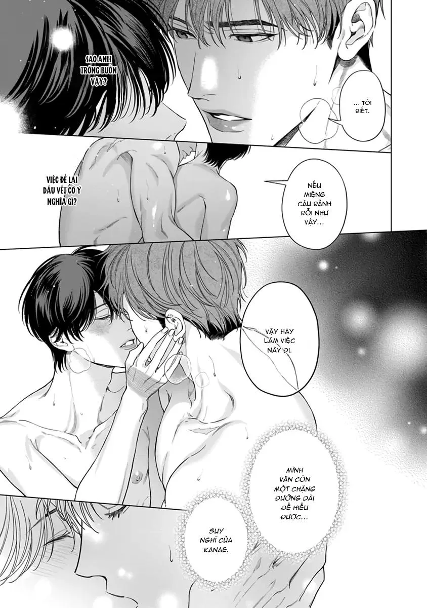 Garnet Giữa Đống Hoang Tàn Chapter 4 Trang 11