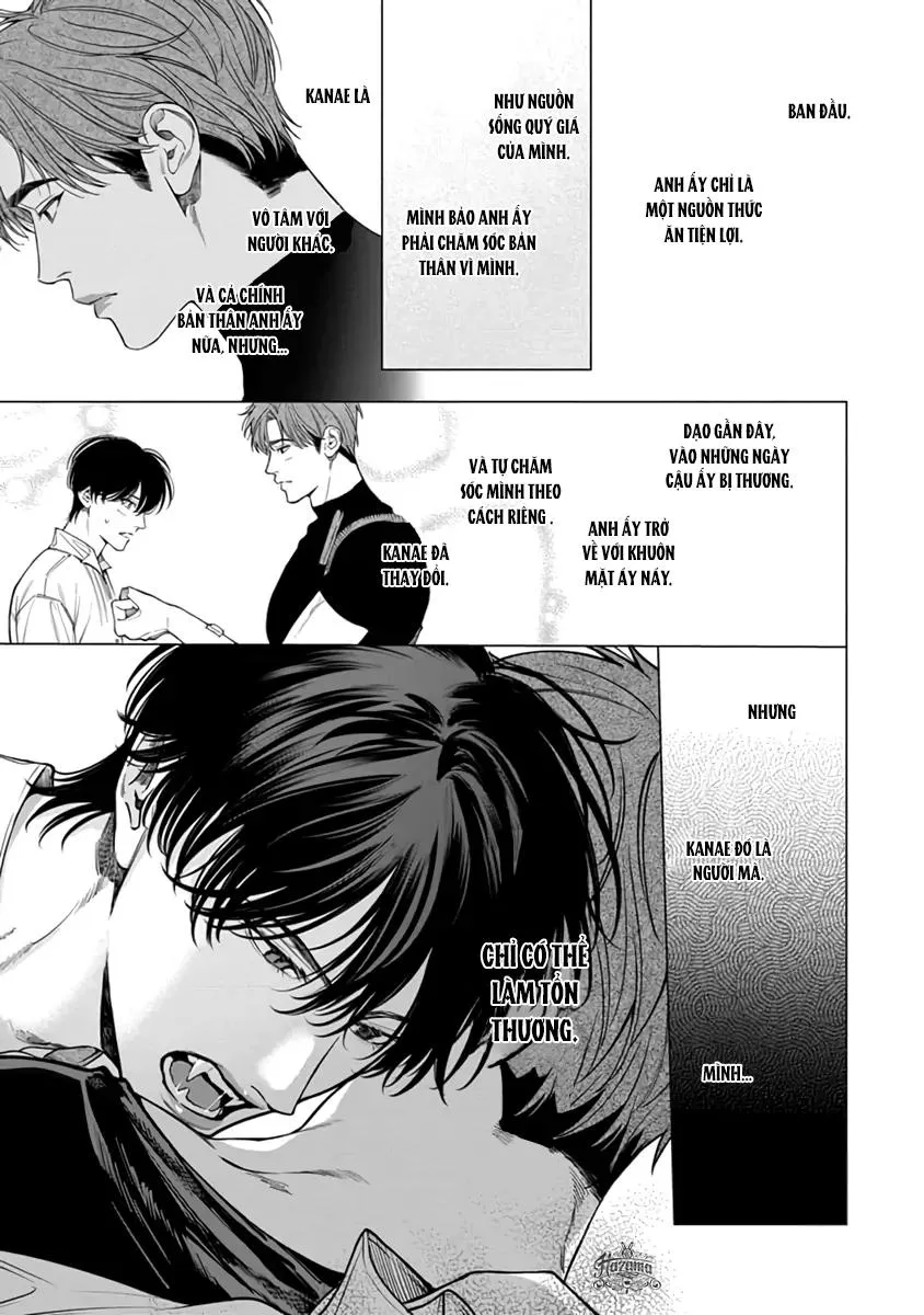 Garnet Giữa Đống Hoang Tàn Chapter 5 Trang 23