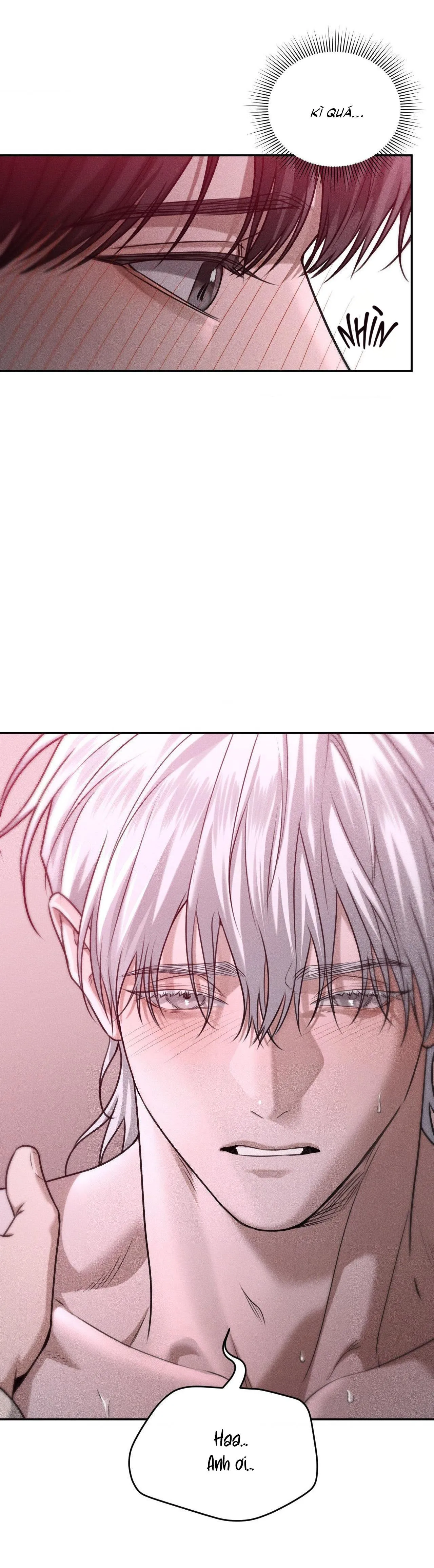 Gấu Teddy thân yêu Chapter 36 Trang 11