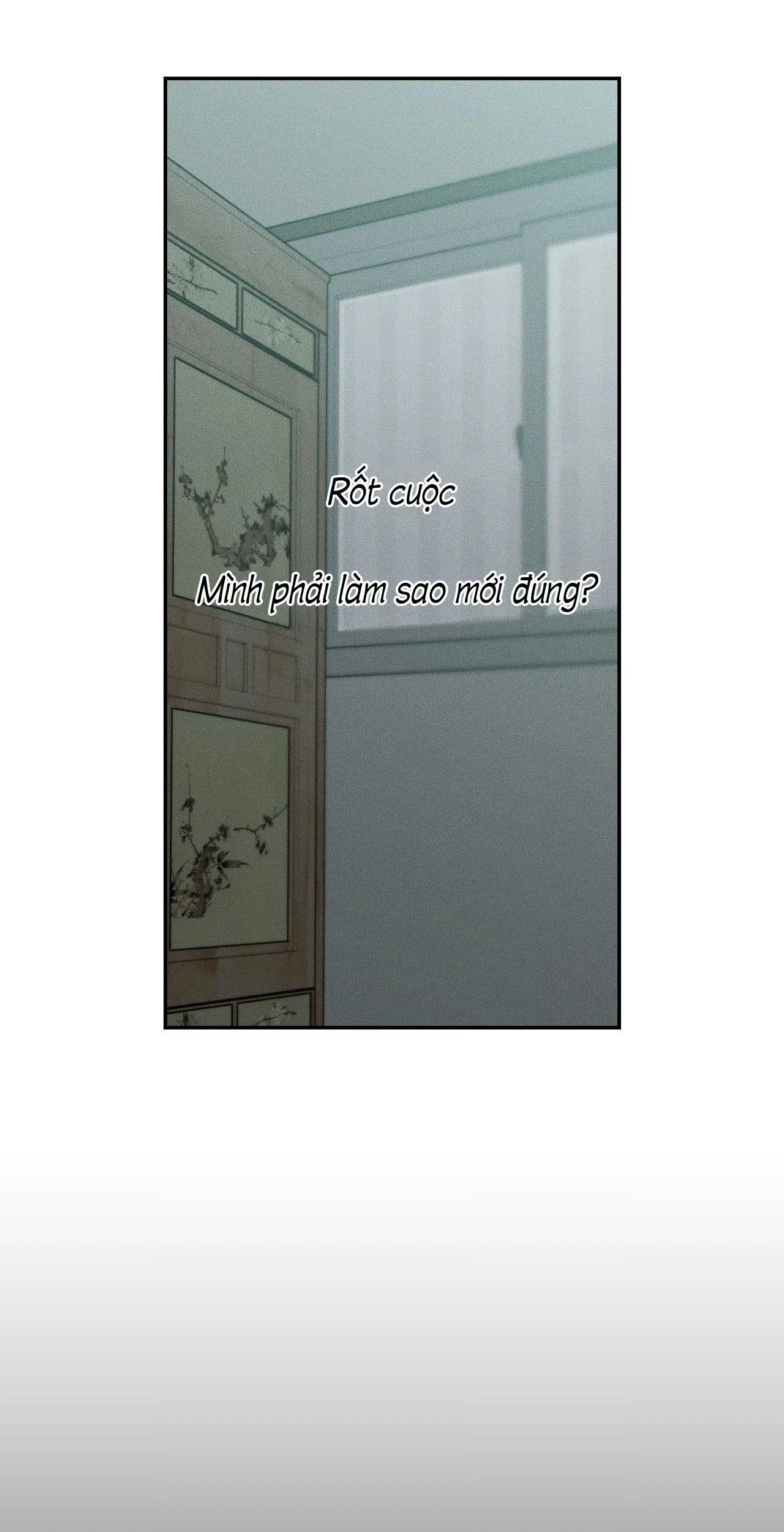 Gấu Teddy thân yêu Chapter 50 Trang 19