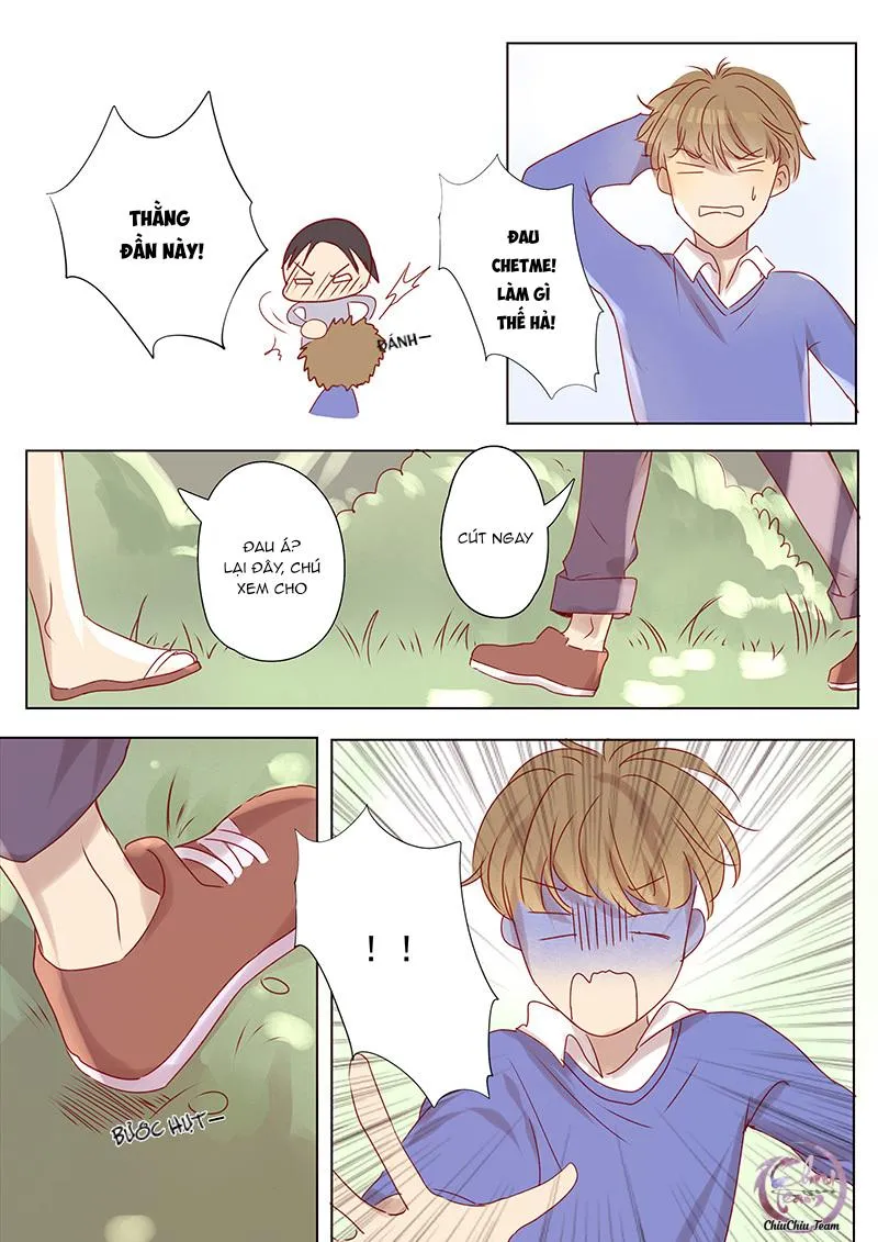 Ghét Cậu Thích Cậu Chapter 12 Trang 5