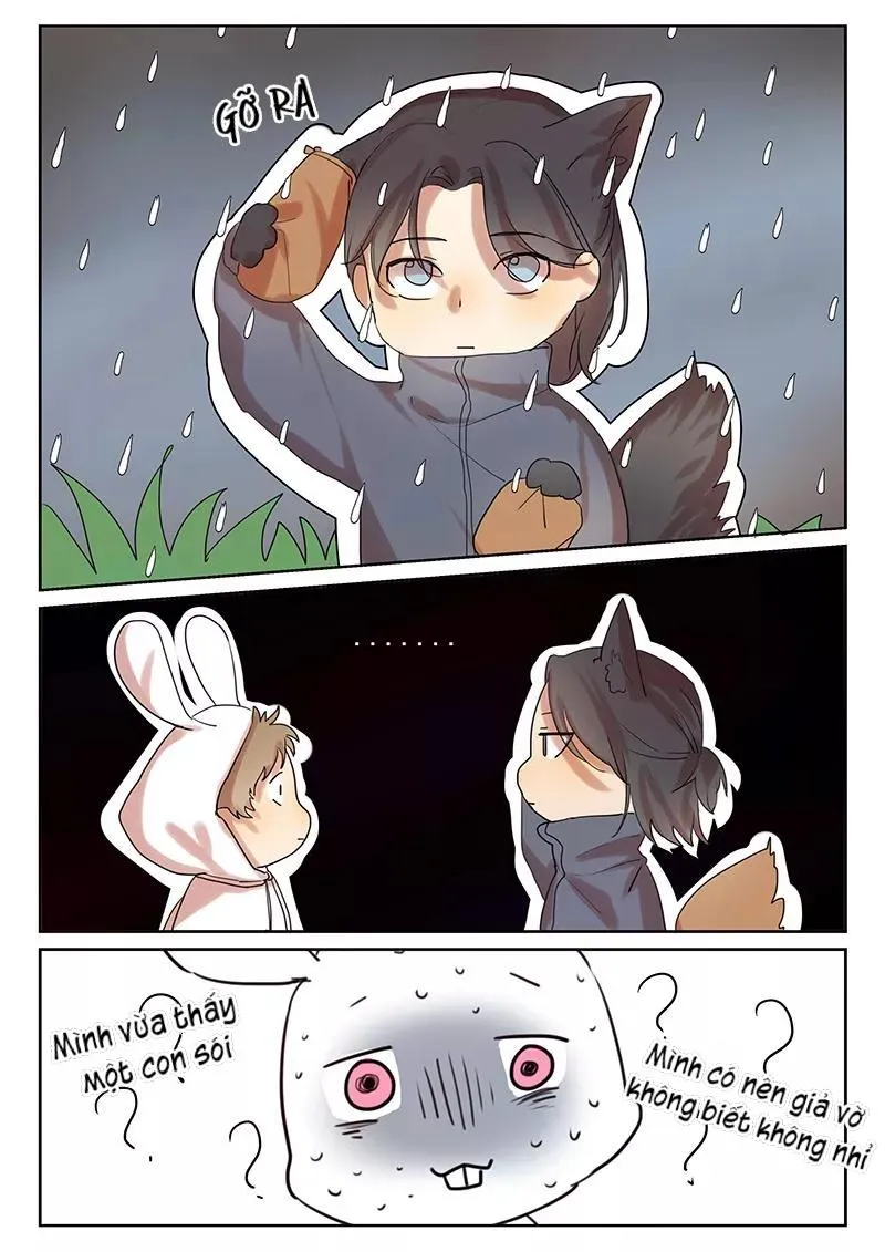 Ghét Cậu Thích Cậu Chapter 31 Trang 3