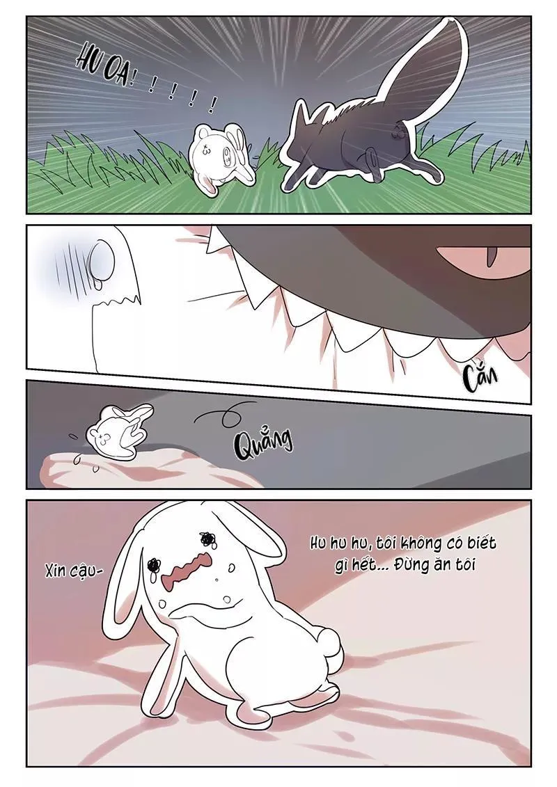 Ghét Cậu Thích Cậu Chapter 31 Trang 4