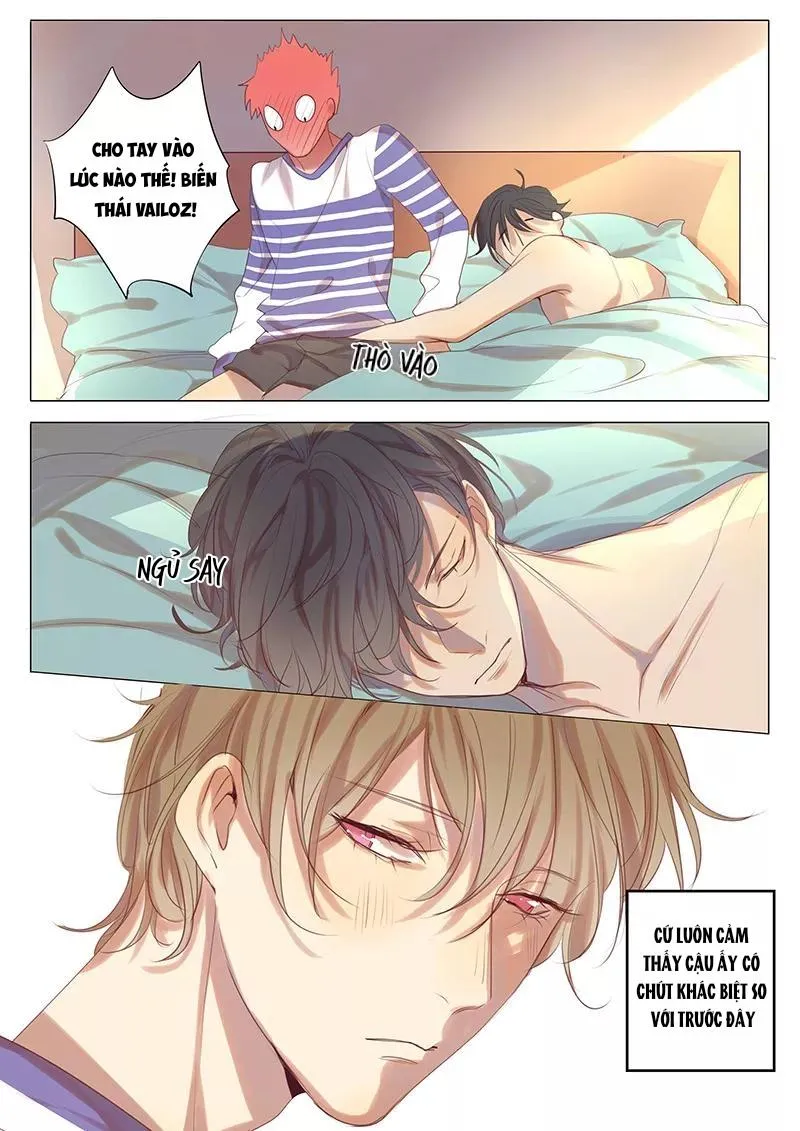 Ghét Cậu Thích Cậu Chapter 31 Trang 7