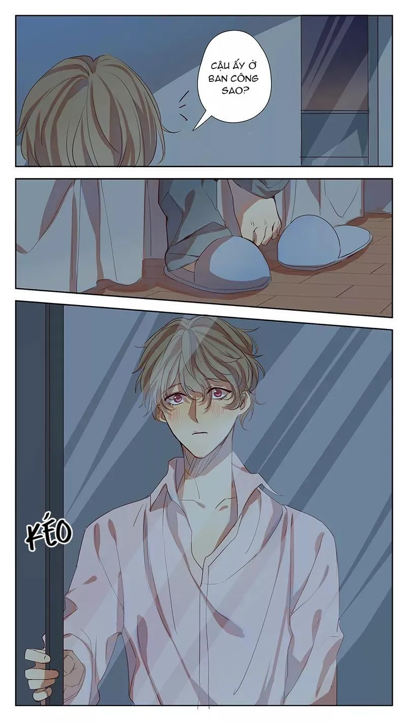 Ghét Cậu Thích Cậu Chapter 36 Trang 3