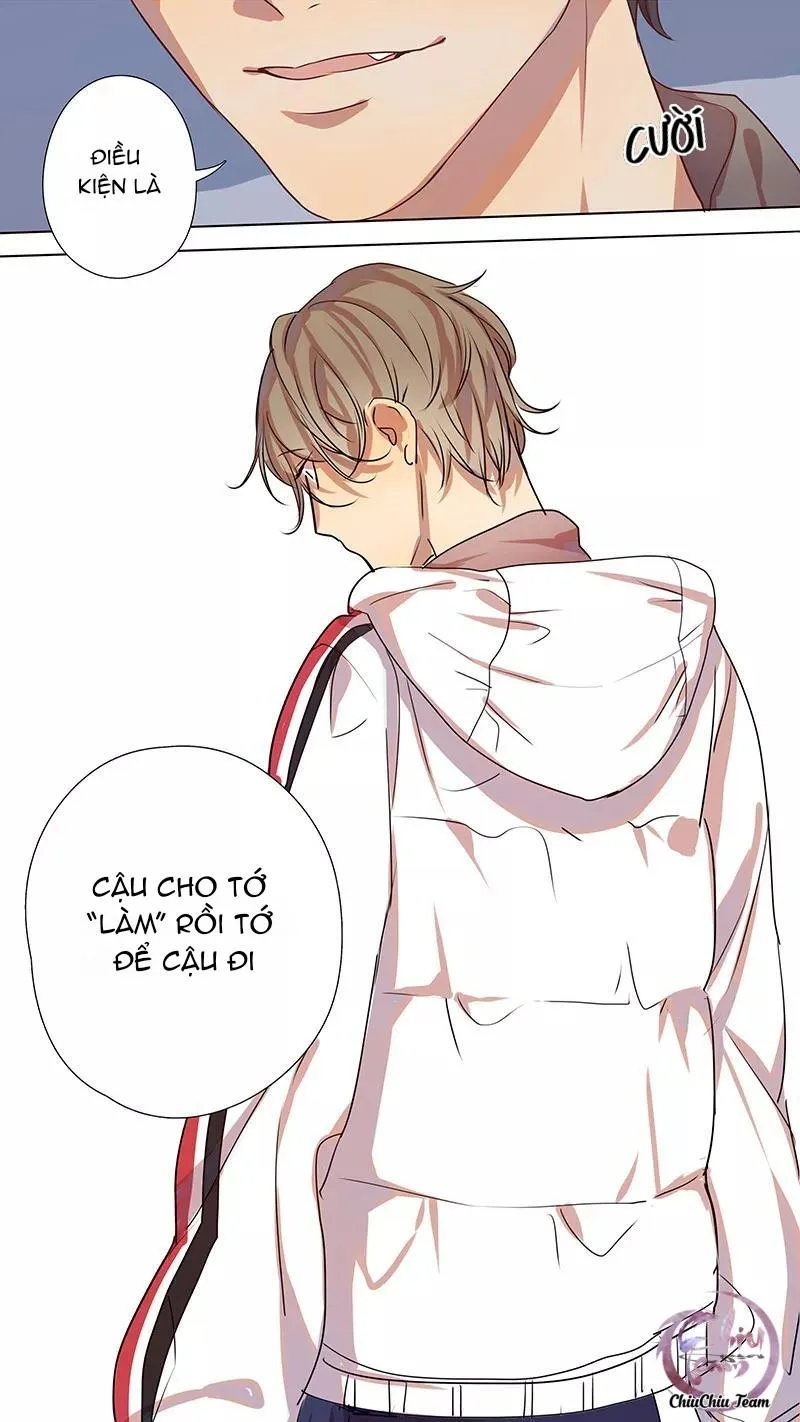 Ghét Cậu Thích Cậu Chapter 37 Trang 14