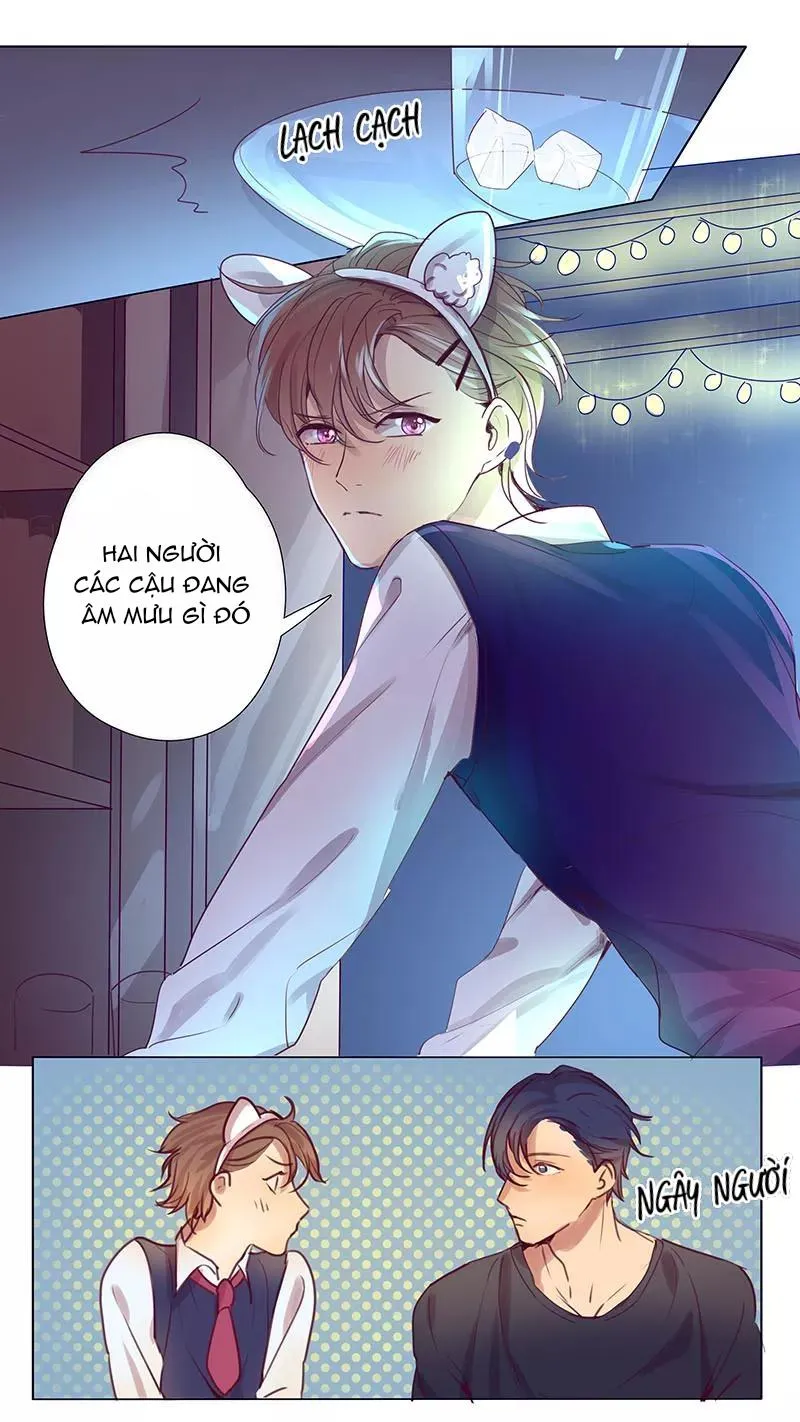 Ghét Cậu Thích Cậu Chapter 39 Trang 6