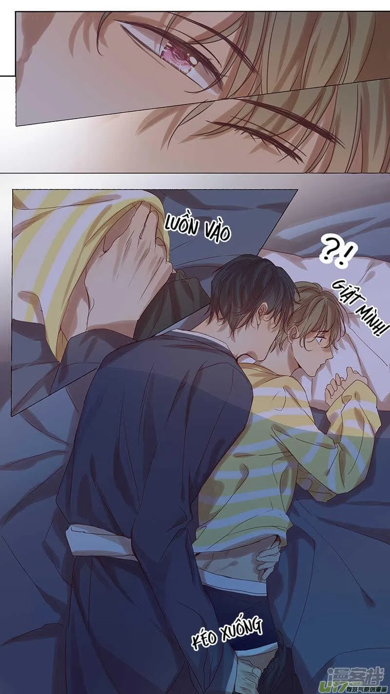 Ghét Cậu Thích Cậu Chapter 43 Trang 8