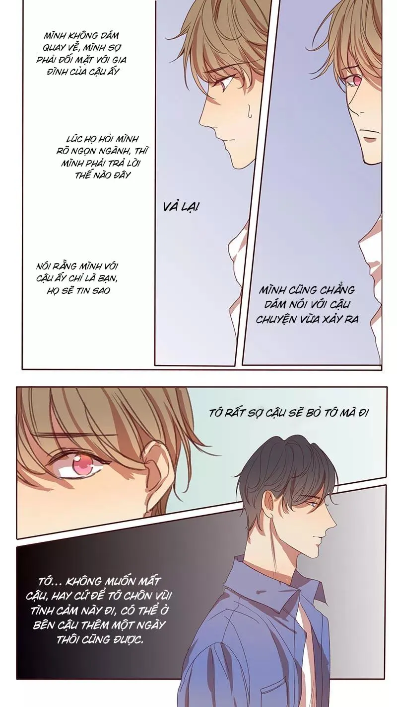 Ghét Cậu Thích Cậu Chapter 45 Trang 4