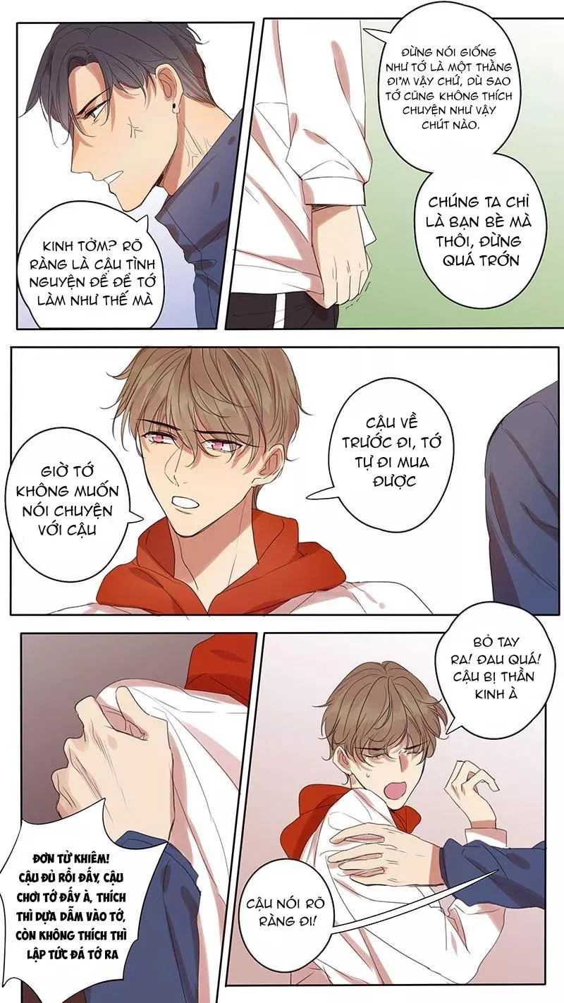 Ghét Cậu Thích Cậu Chapter 46 Trang 11