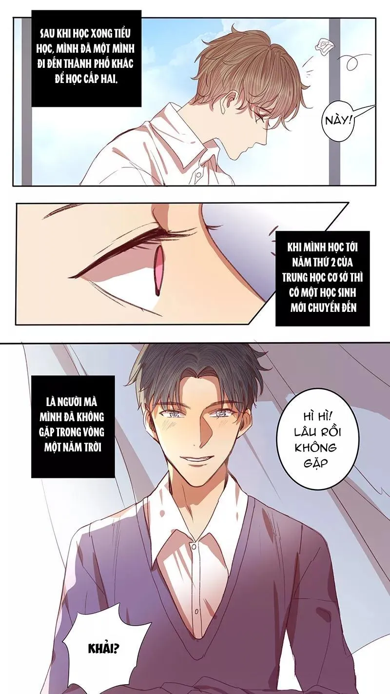 Ghét Cậu Thích Cậu Chapter 47 Trang 8