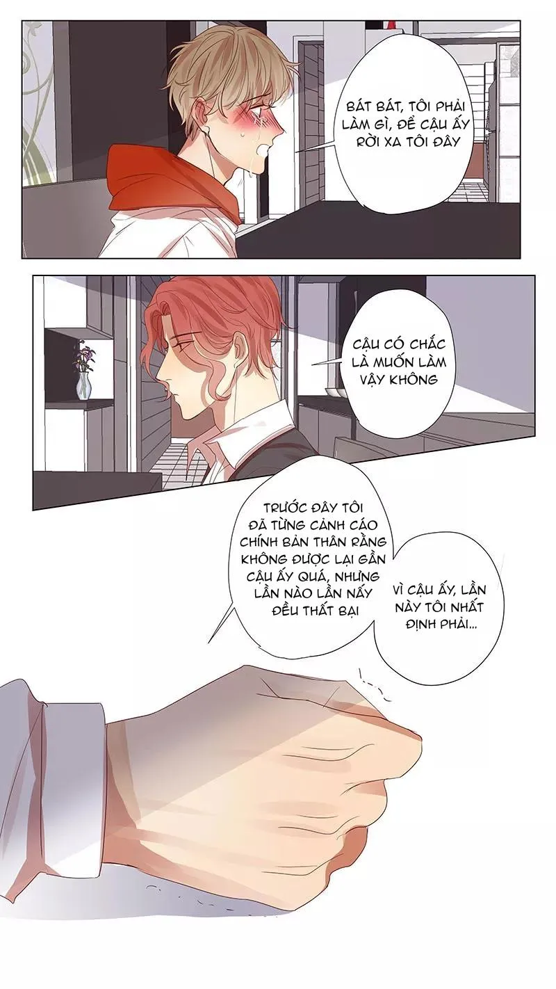 Ghét Cậu Thích Cậu Chapter 49 Trang 7