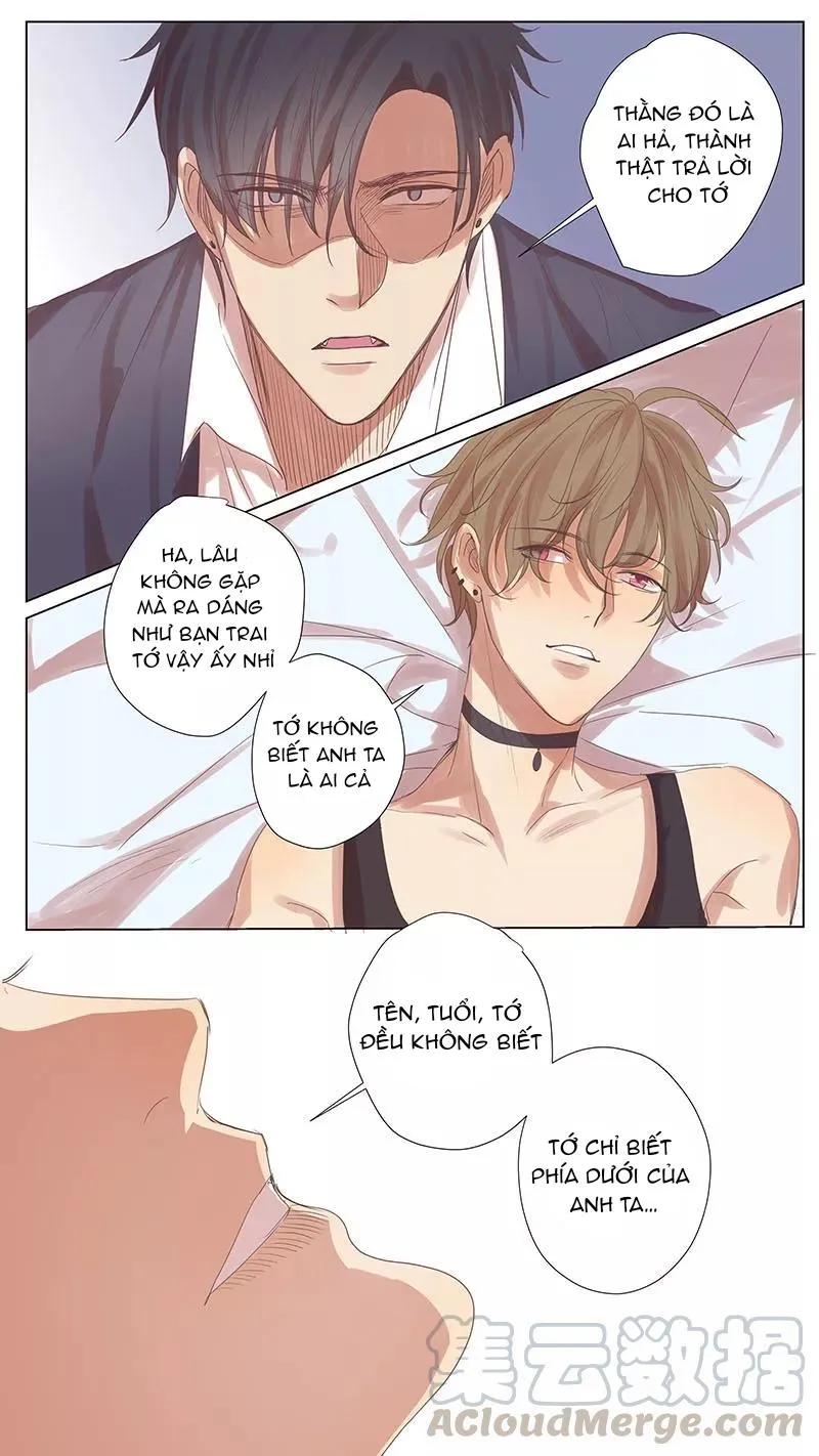 Ghét Cậu Thích Cậu Chapter 50 Trang 8