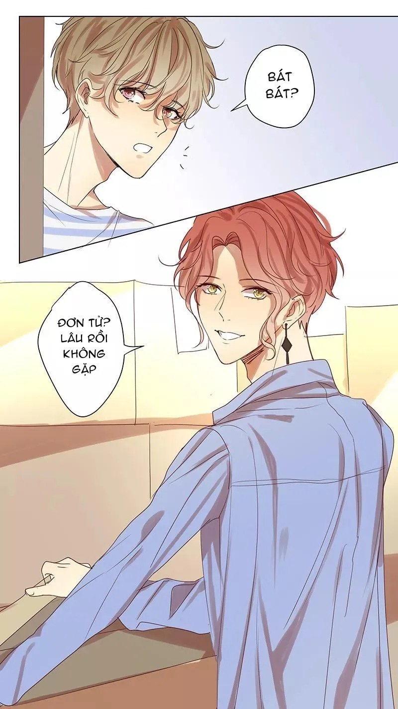 Ghét Cậu Thích Cậu Chapter 55 Trang 7