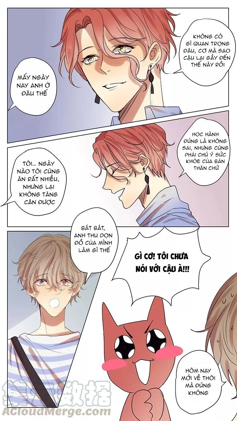 Ghét Cậu Thích Cậu Chapter 55 Trang 8