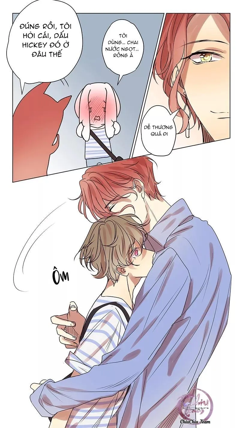 Ghét Cậu Thích Cậu Chapter 55 Trang 12