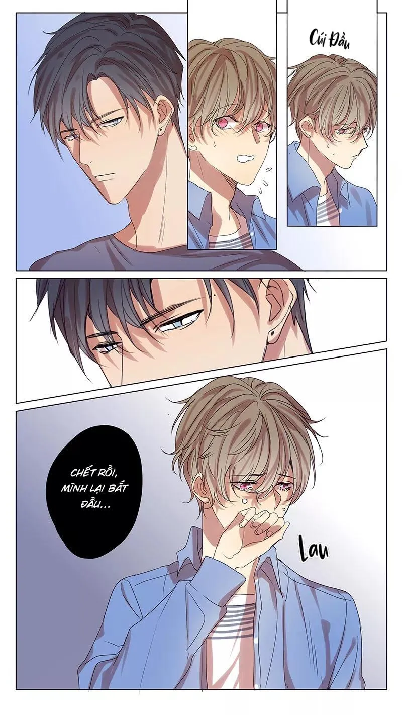 Ghét Cậu Thích Cậu Chapter 56 Trang 3