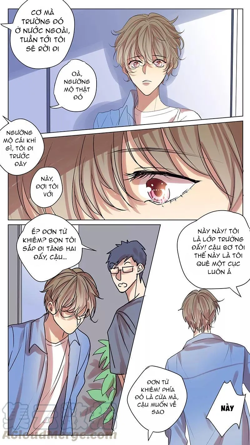 Ghét Cậu Thích Cậu Chapter 56 Trang 8