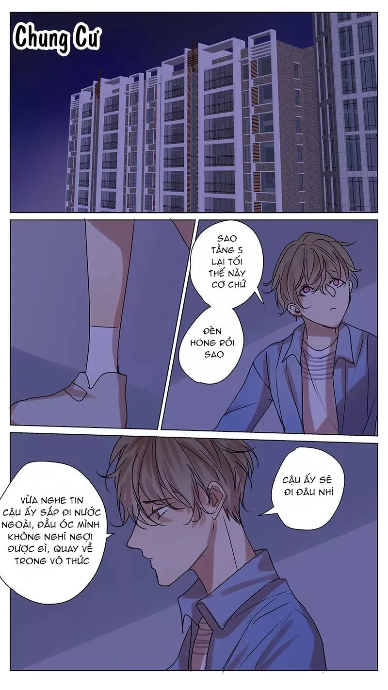 Ghét Cậu Thích Cậu Chapter 56 Trang 11