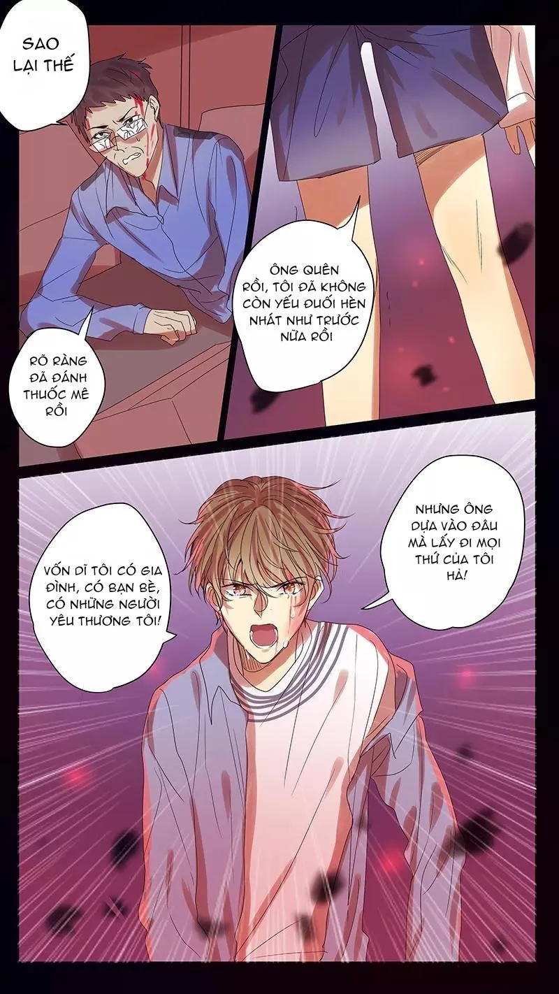 Ghét Cậu Thích Cậu Chapter 57 Trang 10