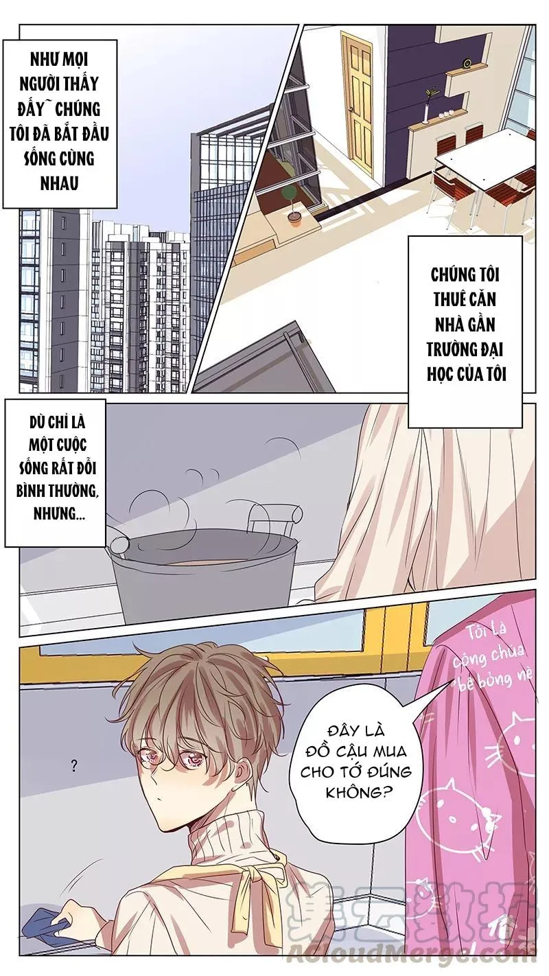 Ghét Cậu Thích Cậu Chapter 61 Trang 8