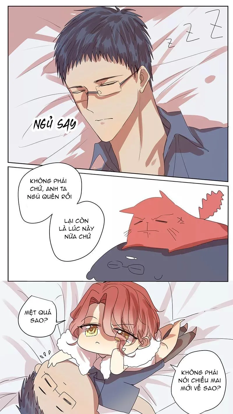 Ghét Cậu Thích Cậu Chapter 63 Trang 11