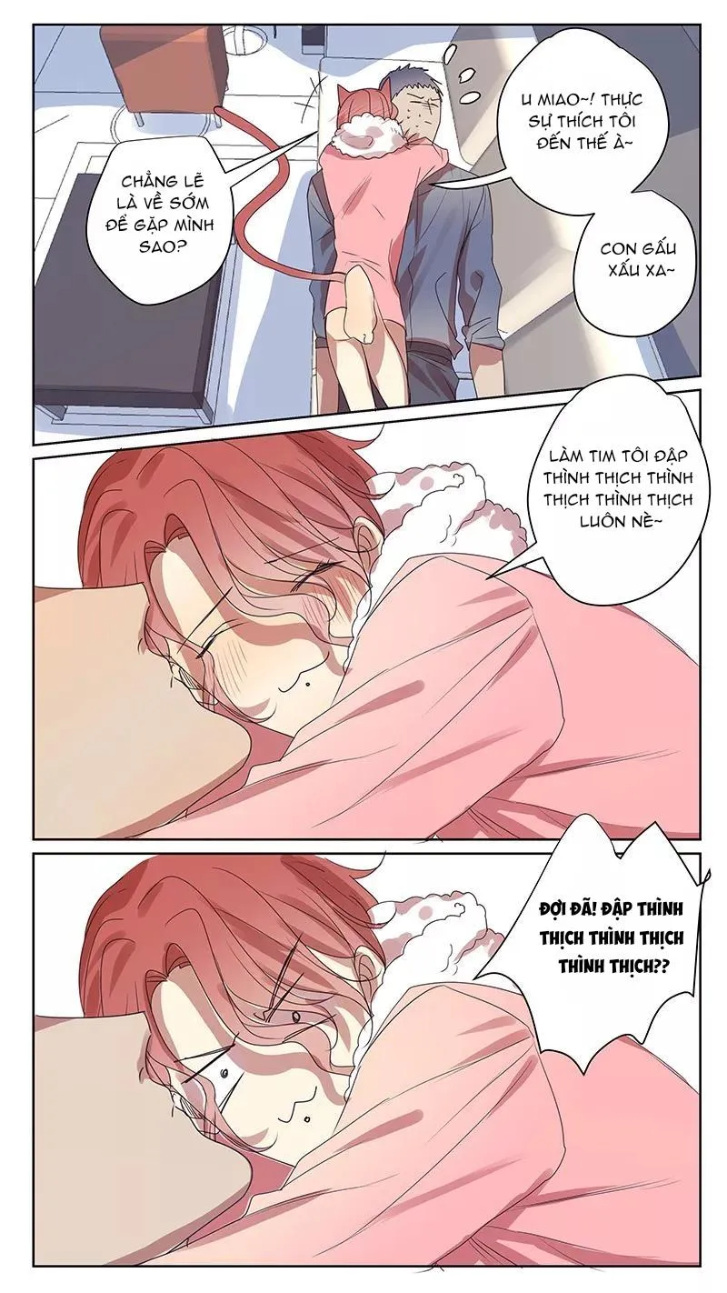 Ghét Cậu Thích Cậu Chapter 63 Trang 12