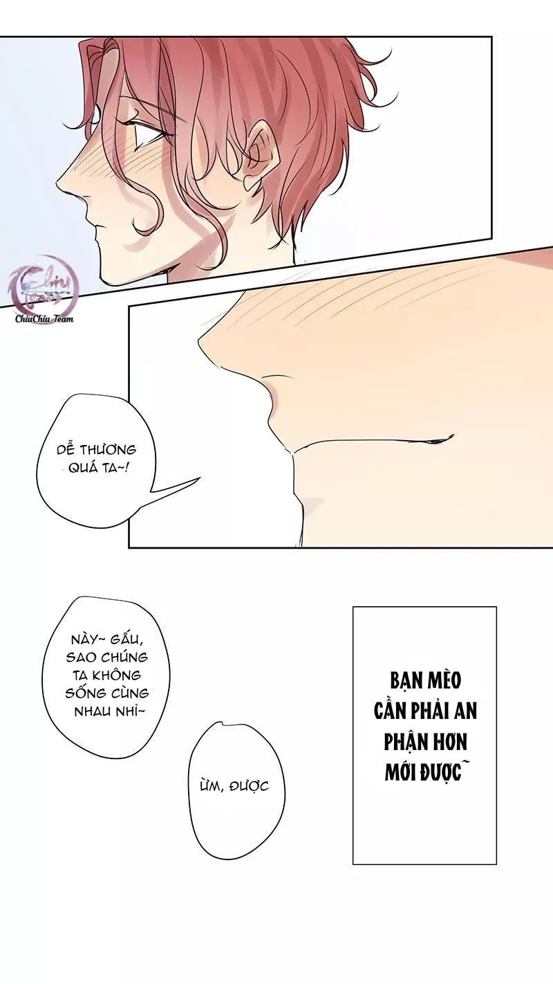 Ghét Cậu Thích Cậu Chapter 64 Trang 14