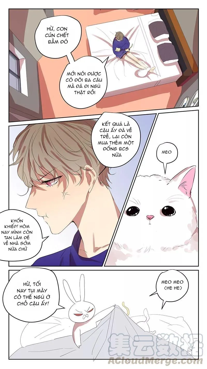 Ghét Cậu Thích Cậu Chapter 65 Trang 8