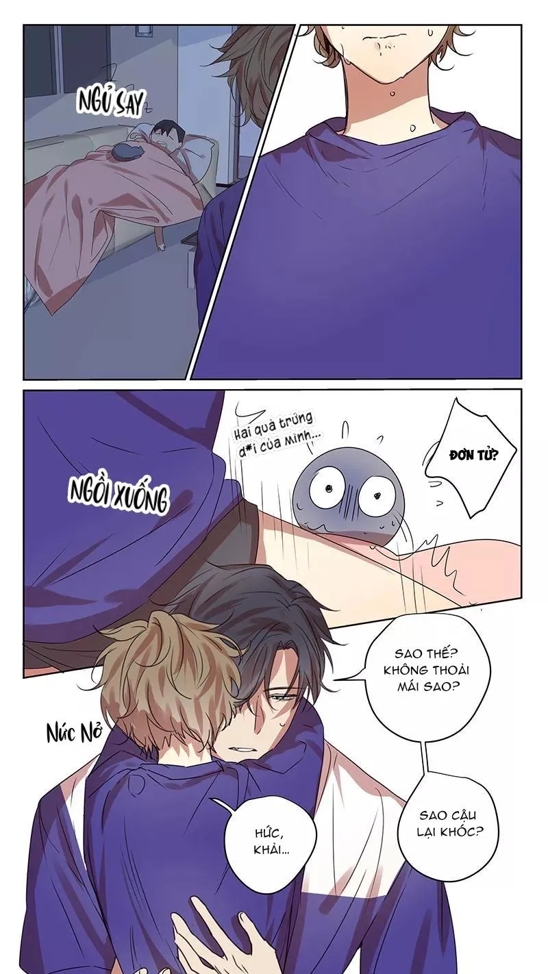 Ghét Cậu Thích Cậu Chapter 65 Trang 11