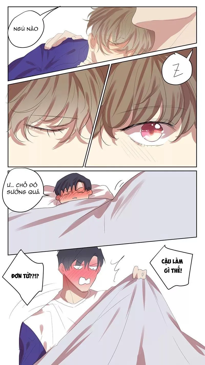 Ghét Cậu Thích Cậu Chapter 65 Trang 14