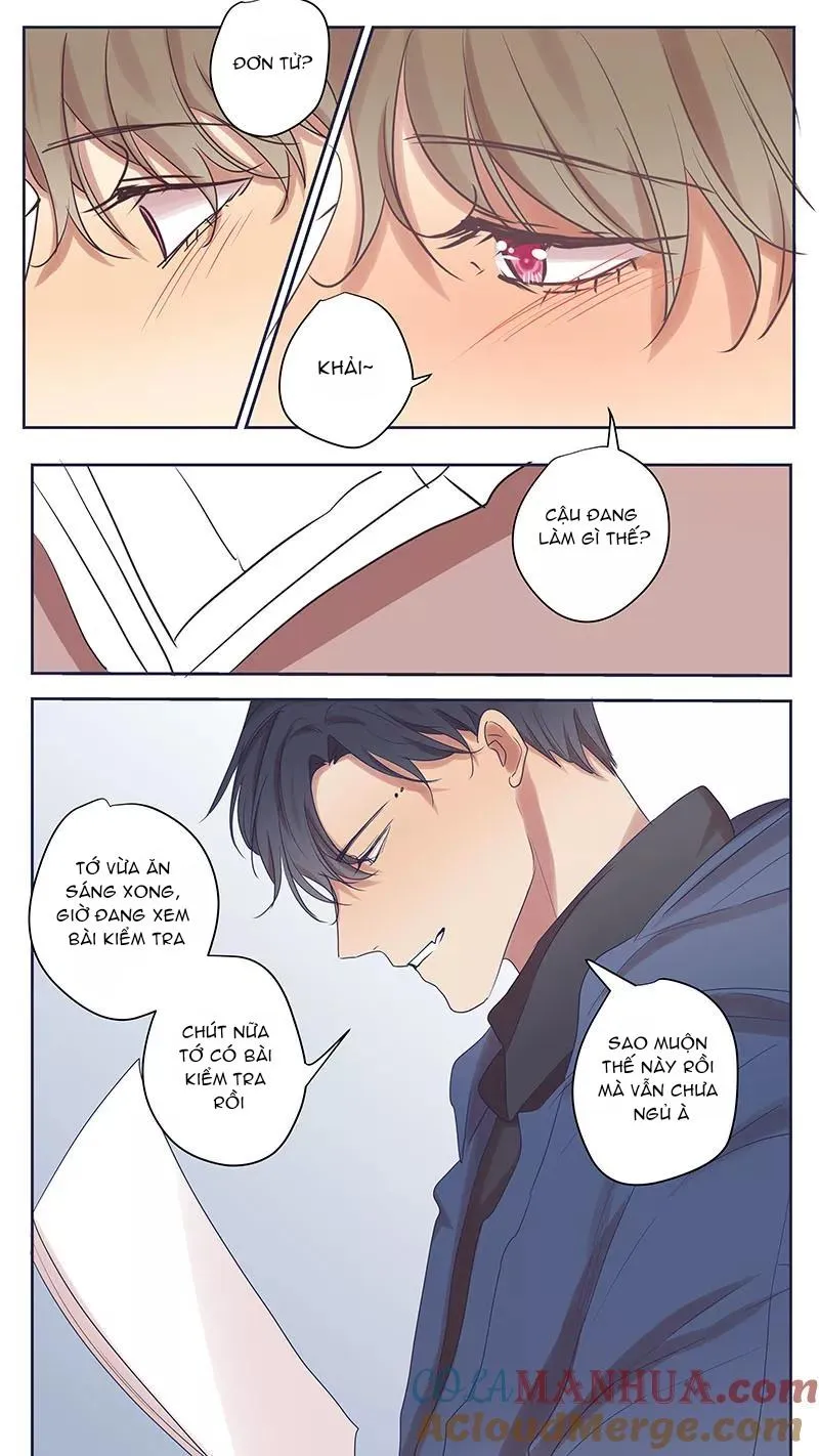 Ghét Cậu Thích Cậu Chapter 72 Trang 8