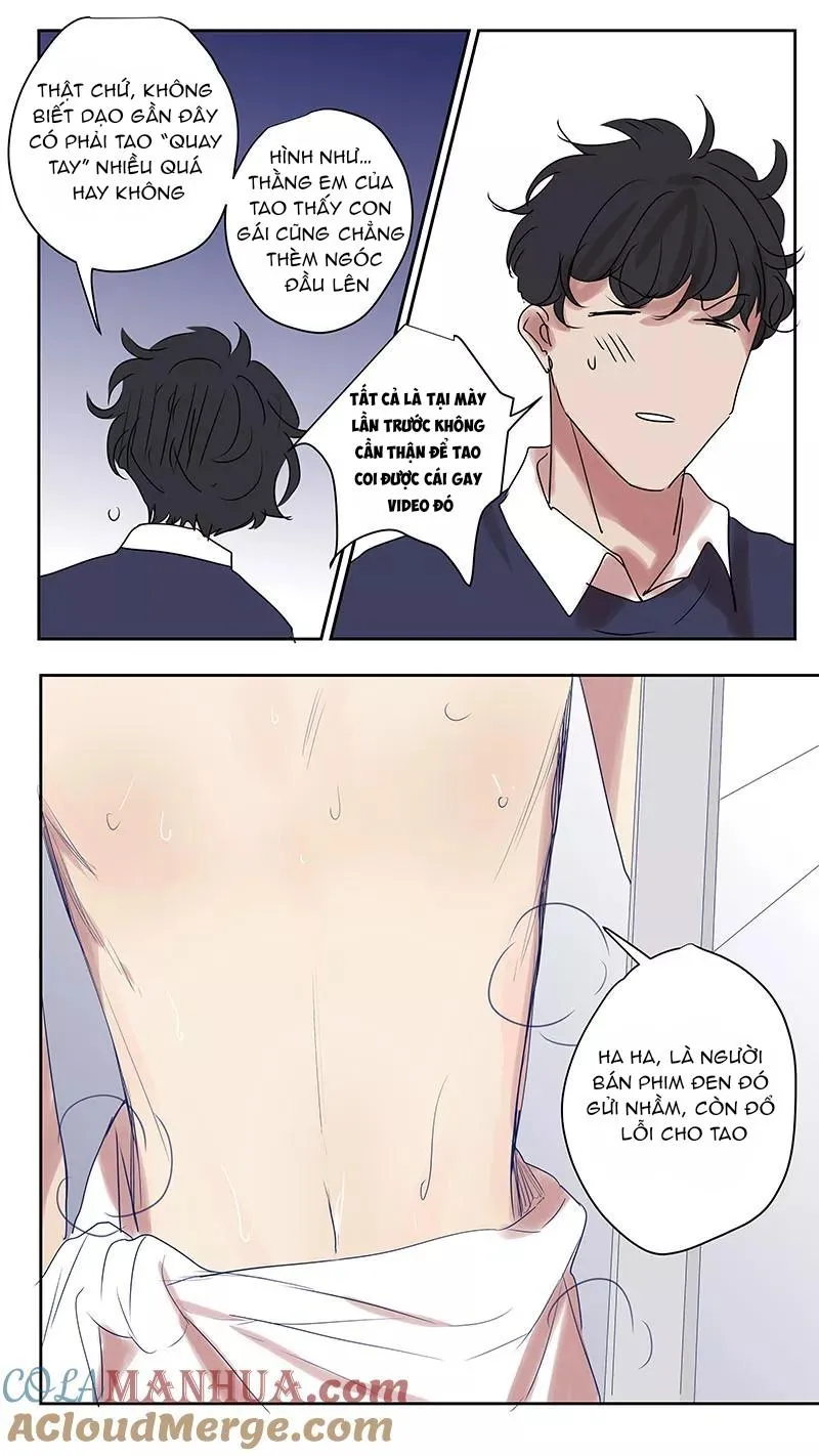 Ghét Cậu Thích Cậu Chapter 75 Trang 10