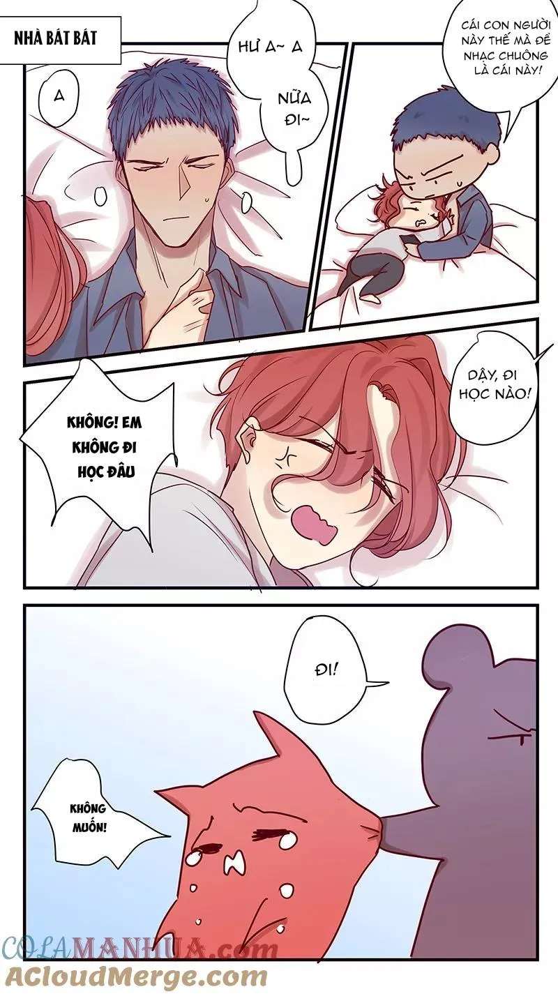 Ghét Cậu Thích Cậu Chapter 80 Trang 5