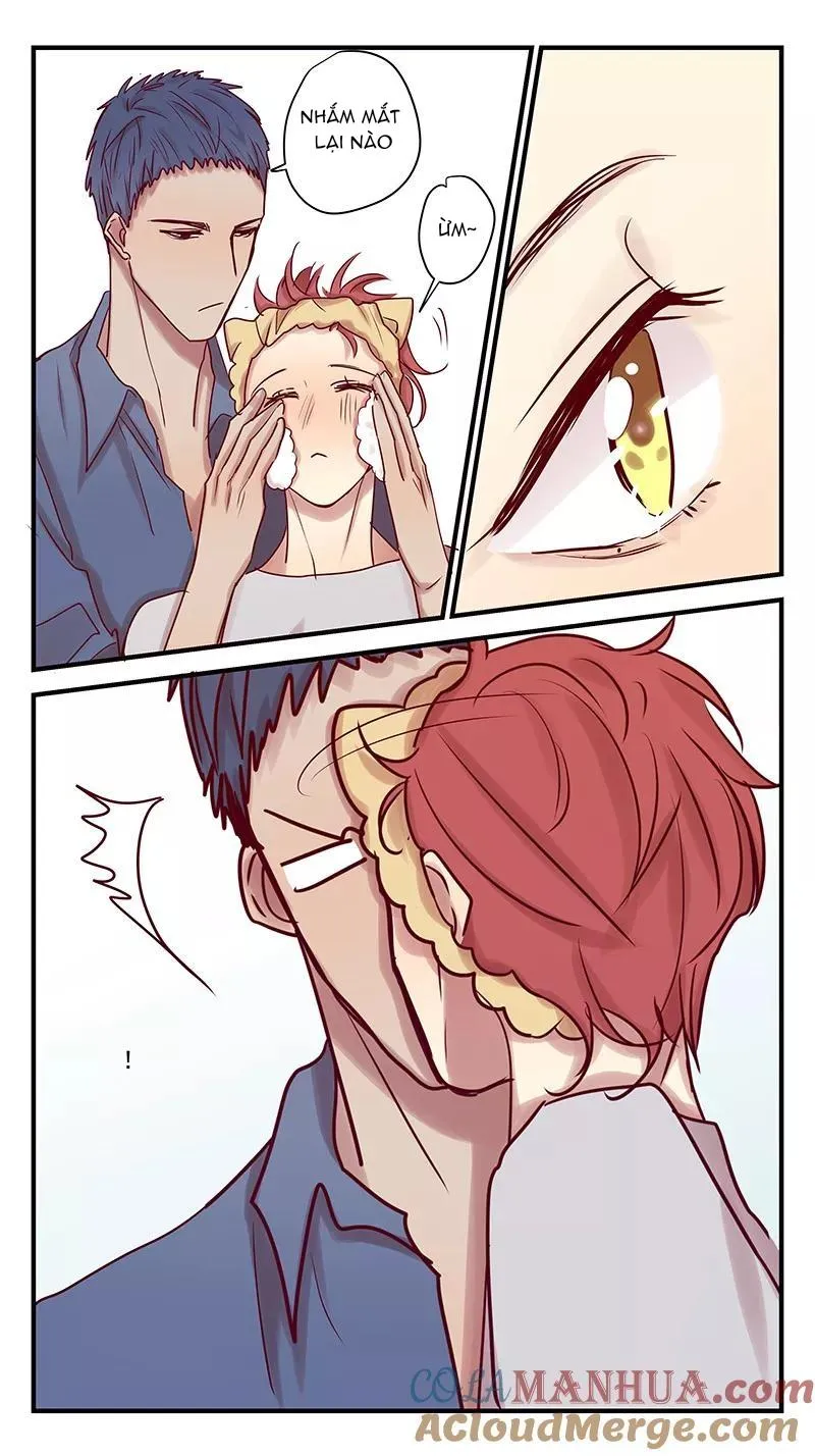 Ghét Cậu Thích Cậu Chapter 80 Trang 7