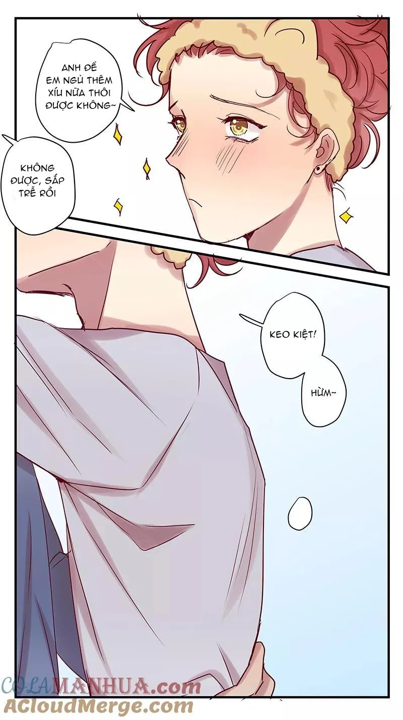 Ghét Cậu Thích Cậu Chapter 80 Trang 9