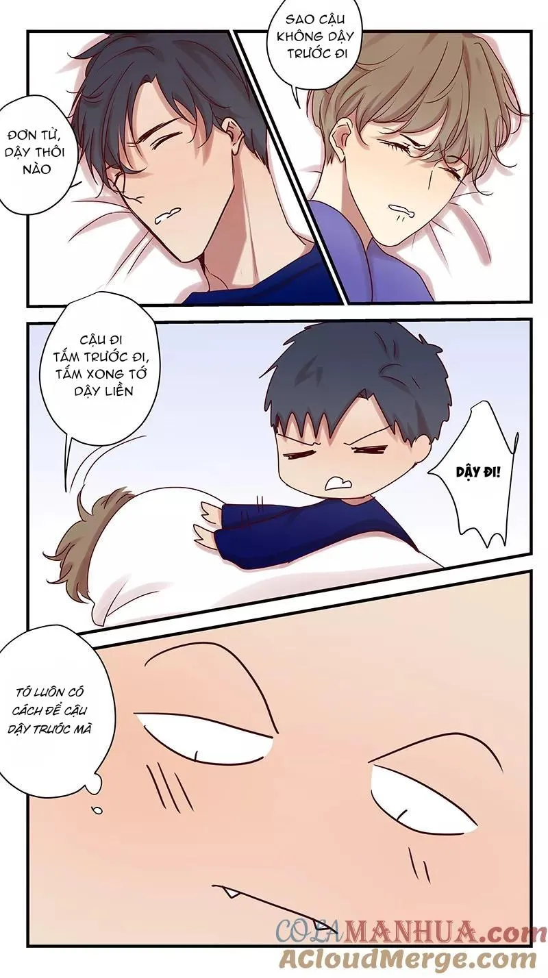 Ghét Cậu Thích Cậu Chapter 80 Trang 11