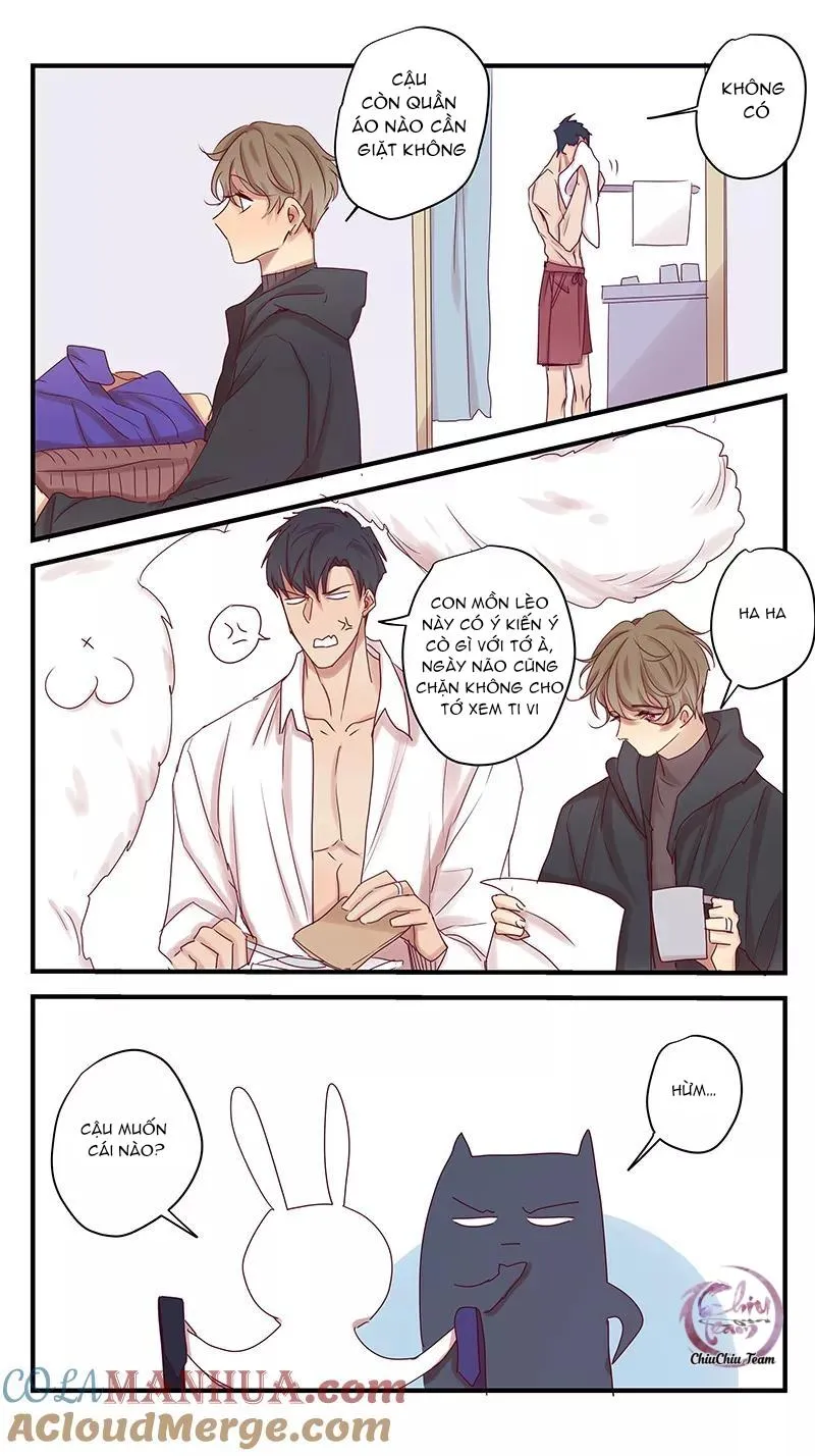 Ghét Cậu Thích Cậu Chapter 80 Trang 13